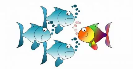 Fisch schwimmt gegen den Strom