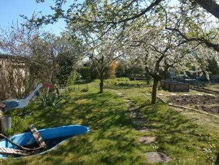 Die Obstbäume im Frühling